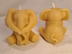 Elephant (trunk down)
