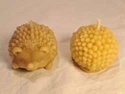 Hedgehog