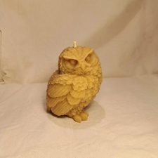 Owl - Medium