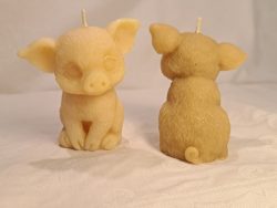 Pig