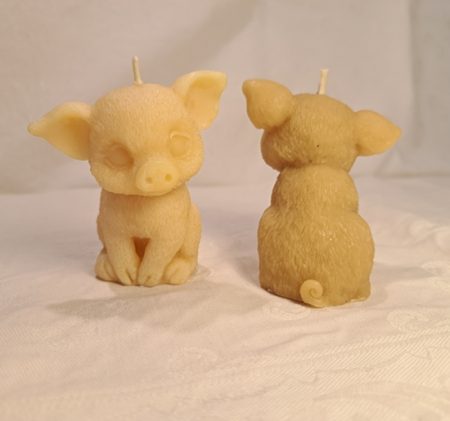 Pig