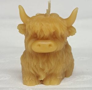 Highland Coo Calf