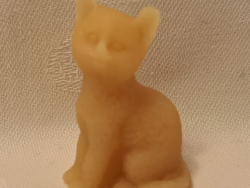 Tiny Cat (not candle)