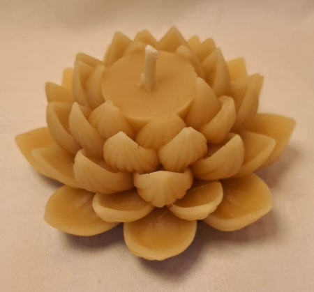 Peony Flower